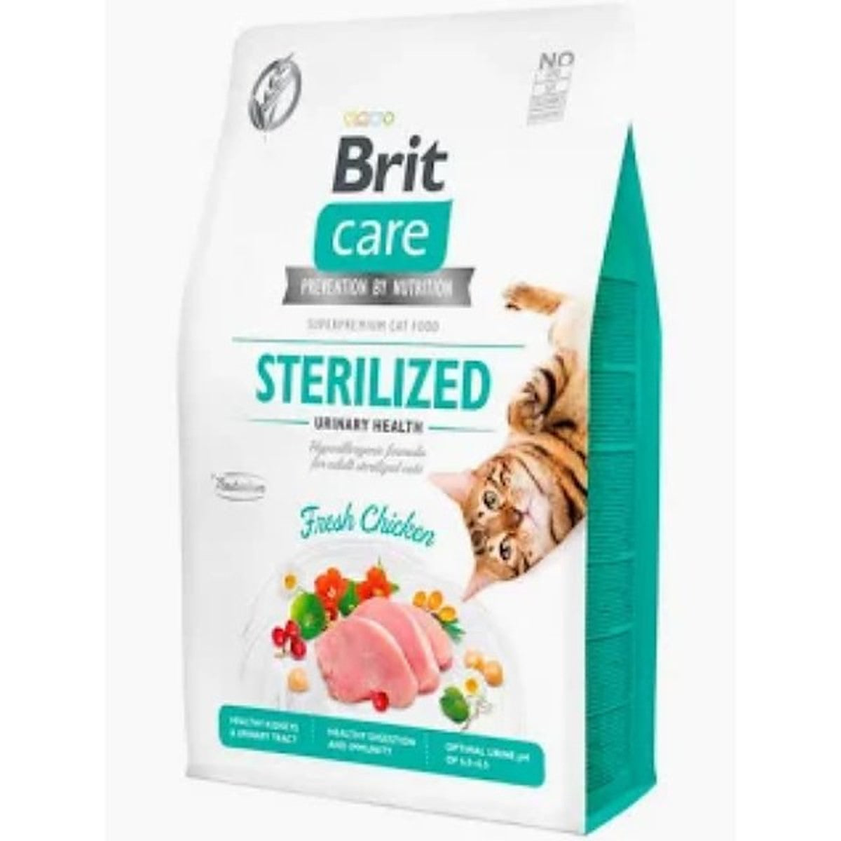 BRIT CARE DOG SALMON ADULT LARGE BREED 3 KG