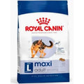 ROYAL CANIN MAXI ADULTO 12KG