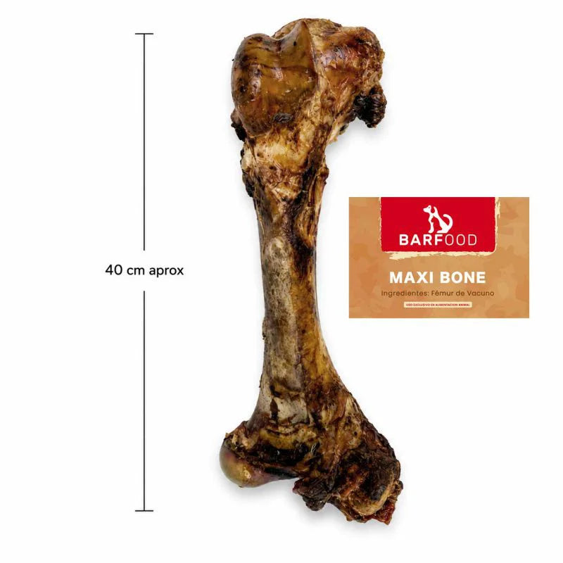 MAXI BONE